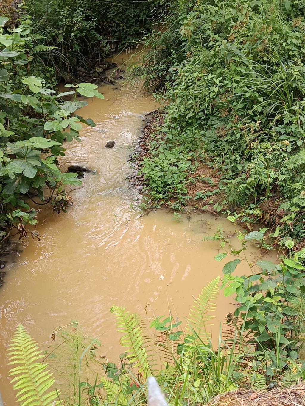La Coordinadora Ecologista de Asturies denuncia nuevos vertidos en el río Aboño y reclama medidas urgentes