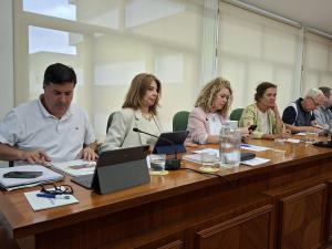 El PP propone impulsar una campaña de conocimiento sobre Conecta Taxi y las ayudas para facilitar el uso de este servicio