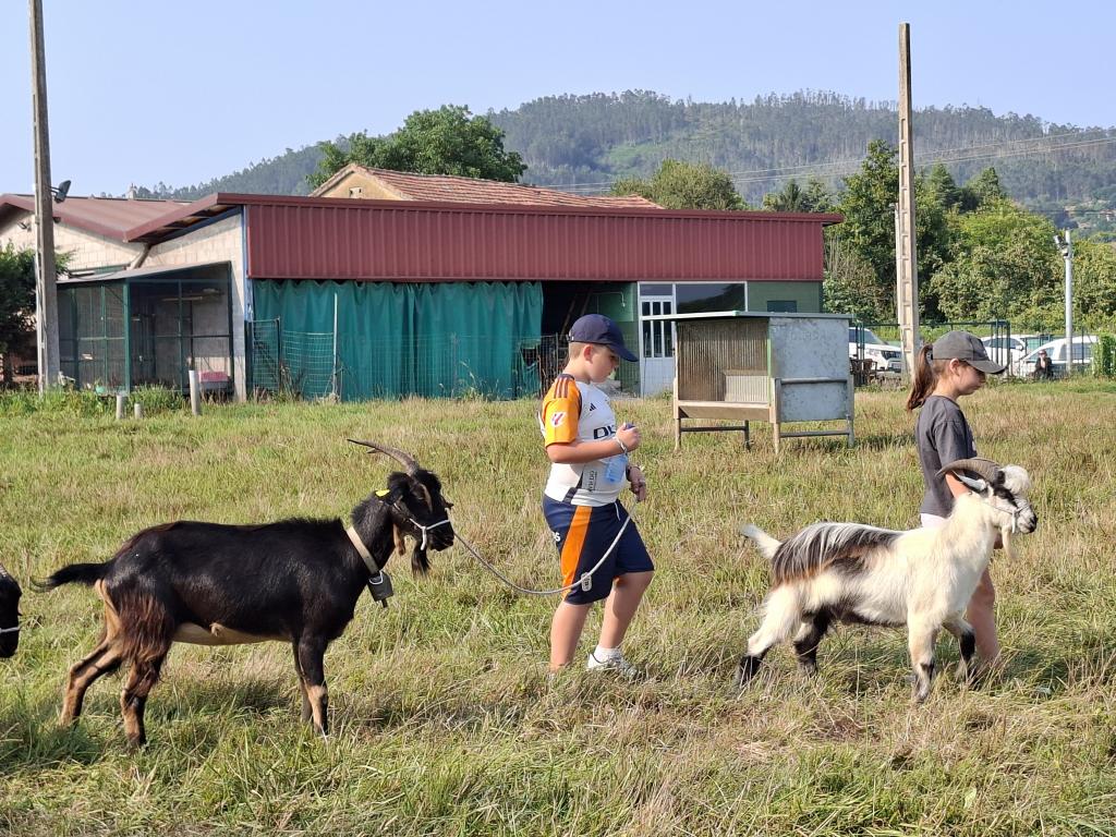 Más de una veintena de niños preparan la exhibición de los Pequemanejadores de Llanera