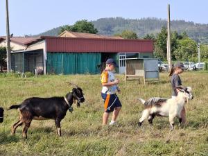 El Tapin - Más de una veintena de niños preparan la exhibición de los Pequemanejadores de Llanera