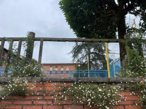 El Tapin - FORO Siero reclama mejoras de seguridad y mantenimiento en Pumarabule y exige garantizar la atención médica en Carbayín