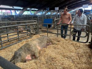 El Tapin - Pumares reclama al Principado más diálogo con los ganaderos y medidas para afrontar los problemas del medio rural